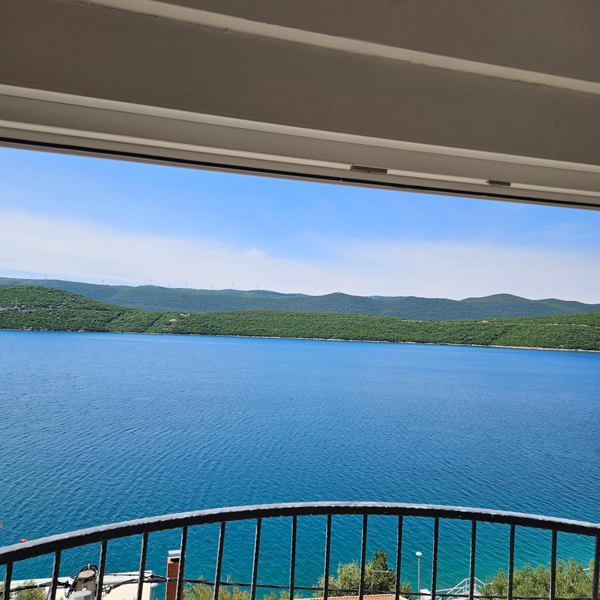 Cytrus * Neum